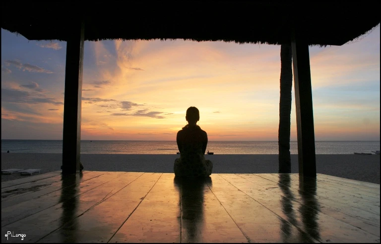 Tự mình nhập thất tịnh tu được không?